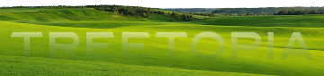 About Treetopia